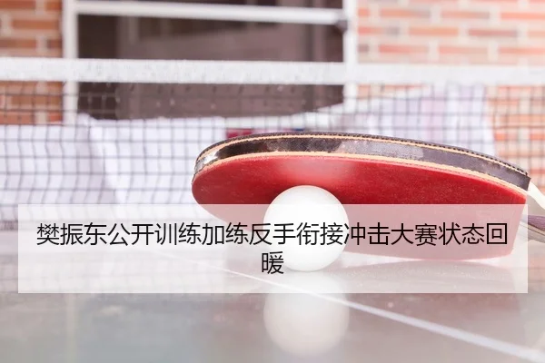 樊振东公开训练加练反手衔接冲击大赛状态回暖