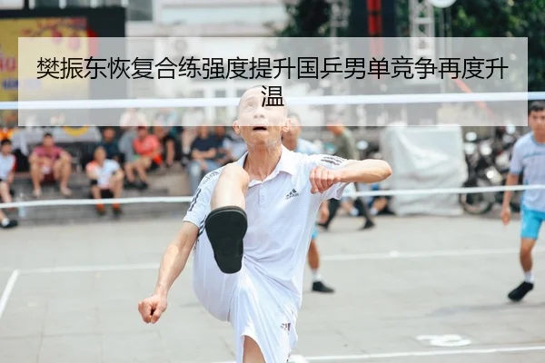 樊振东恢复合练强度提升国乒男单竞争再度升温